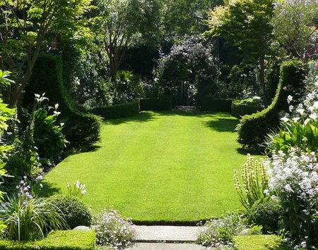 Feeding The Lawn