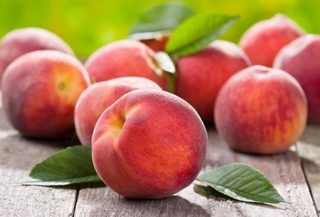 Growing Peaches And Nectarine