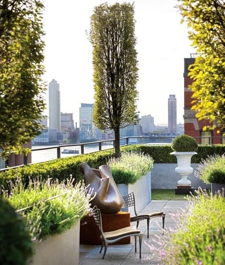 Roof Garden With Potted Trees