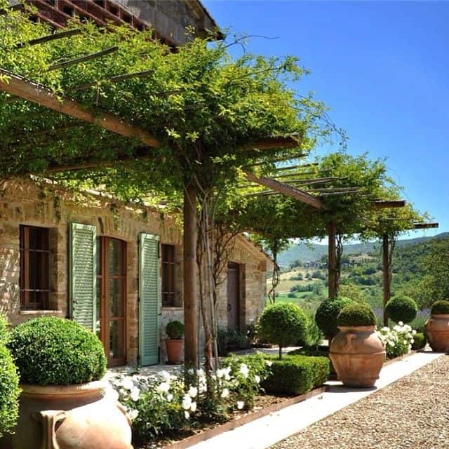 Planting Climbers In Mediterranean Gardens