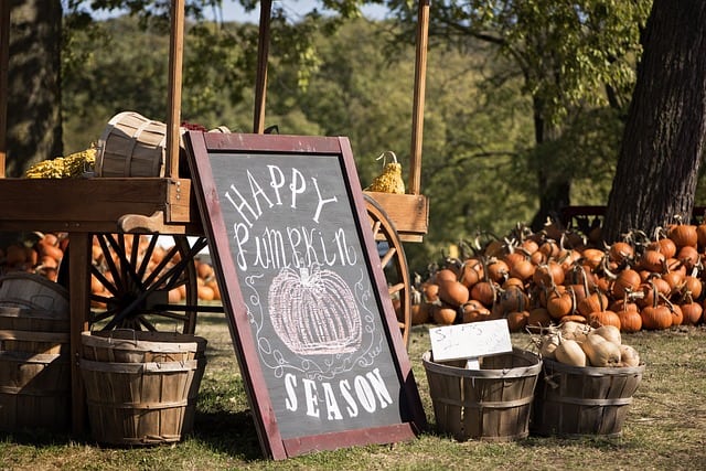 Why Your Pumpkin Farm Needs A Steel Building