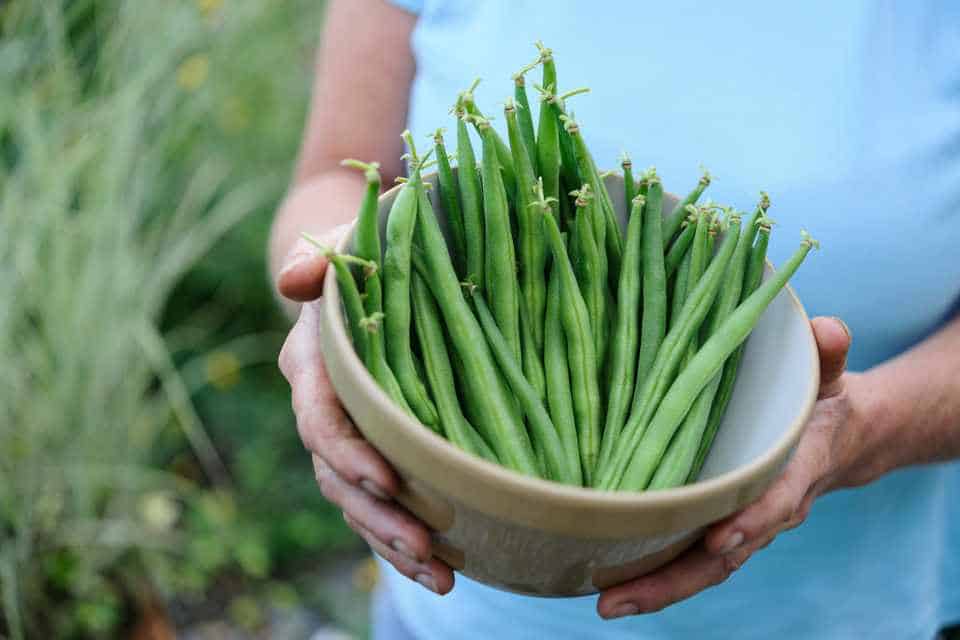 Natural Gardening Ways For Growing Beans