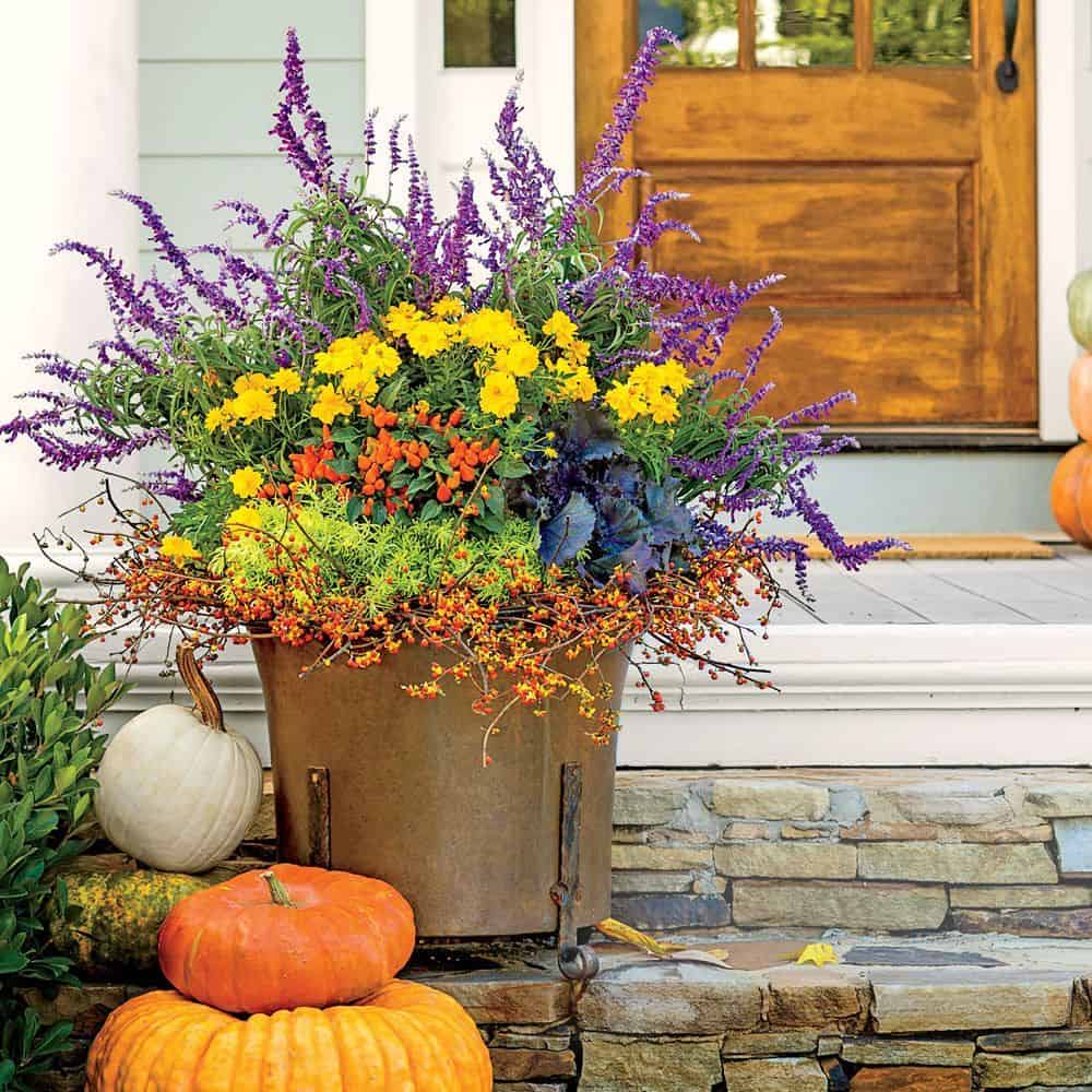 Choosing Plants For Fall Colorful Garden