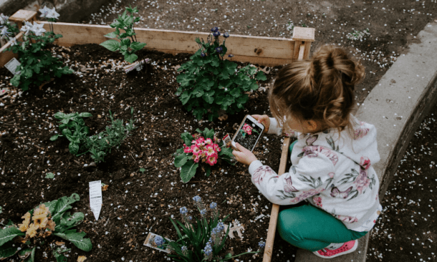 Take Care Of Your Garden Containers