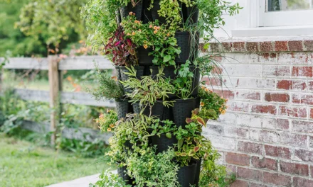 6 Easy Steps To Set Up Your First Vertical Garden