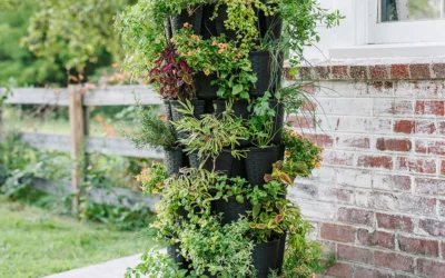 6 Easy Steps To Set Up Your First Vertical Garden