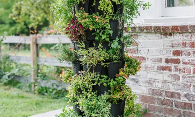 6 Easy Steps To Set Up Your First Vertical Garden