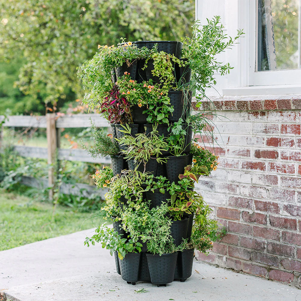 vertical garden